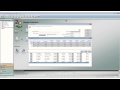 Cougar mountains denali accounting software overview
