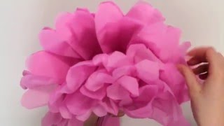 Learn to Make Tissue Paper Pom Poms - MyVoucherCodes
