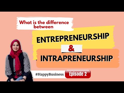 Video: Forskellen Mellem Iværksætteri Og Intrapreneurship