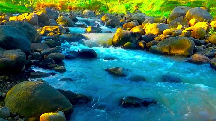 Sounds of Mountain Rivers and Forest Birds Singing. 12 Hours Of Deep Sleep