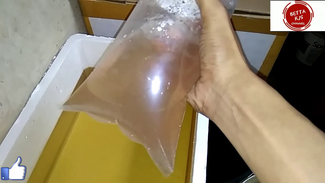 Tips agar kutu air tahan lama SIMPLE