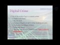 الجرائم الالكترونية الدكتور سمير المصري 2 6 