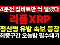 리플 필수 확인하세요 XRP 업비트만 싹 털림 진짜 정신병 오네요 오늘밤이 최종구간
