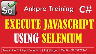 Selenium with C# 51 - IJavaScriptExecutor interface | How to execute JavaScript from Selenium Net Worth