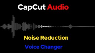 CapCut Tutorial Noise Reduction