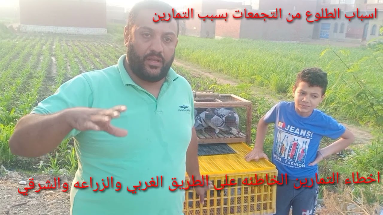 خطوات مهمه جدا اثناء تمارين اثناء تجمعات الجمهوريه في سباق الحمام الزاجل