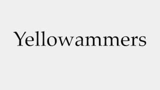 How to Pronounce Yellowammers