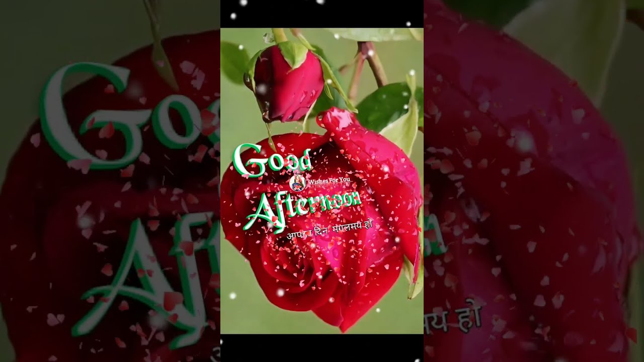 GOOD AFTERNOON Video