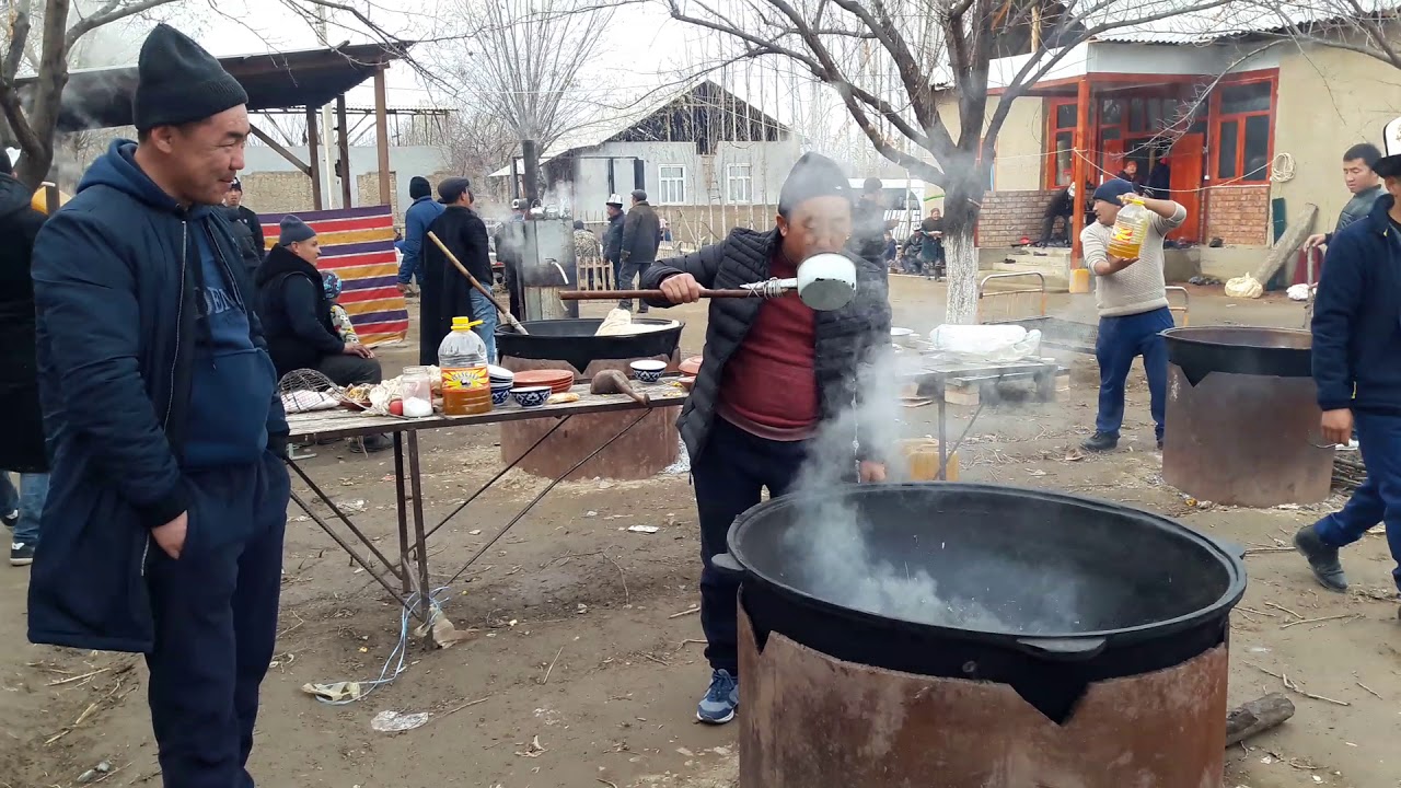 Чек 87 23-11-2018