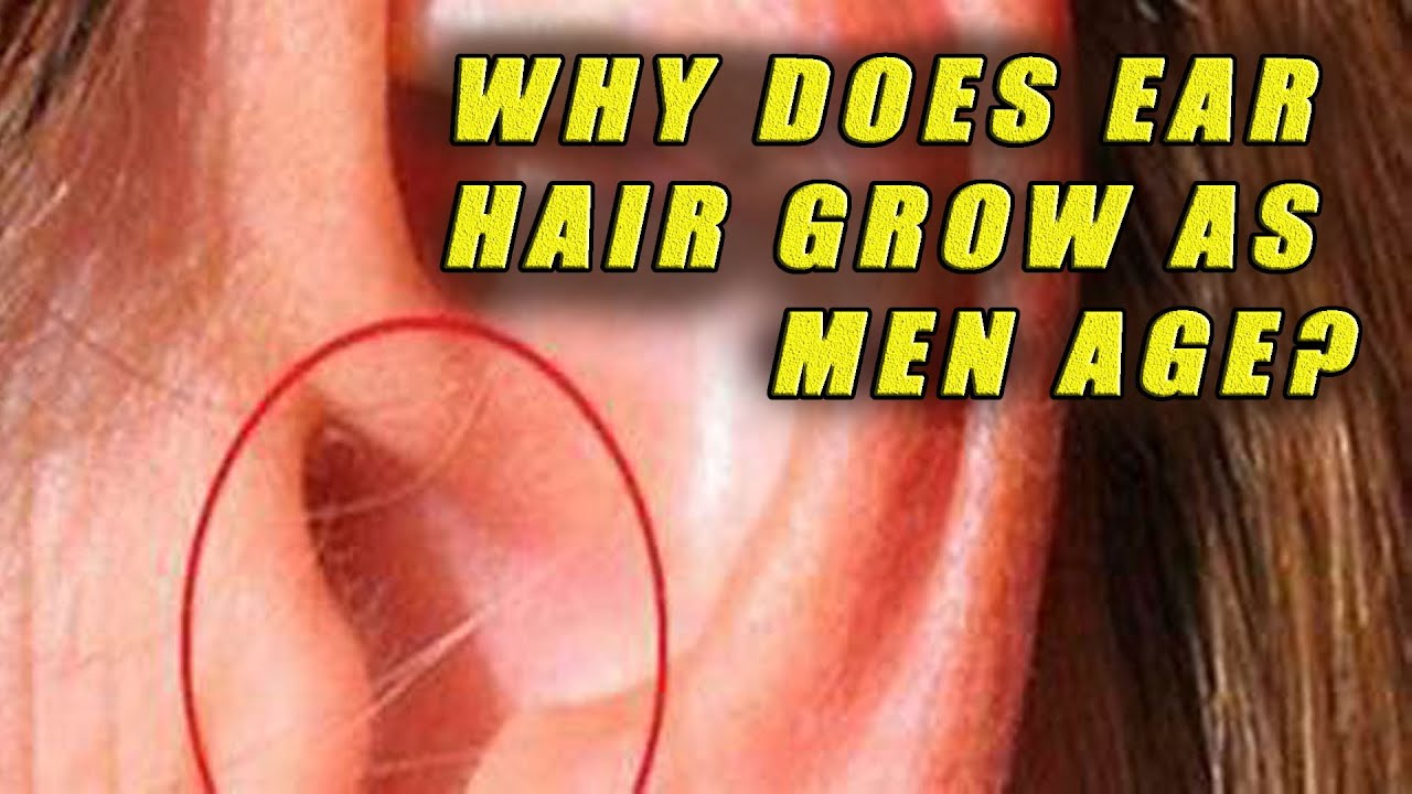 Why does ear hair grow as men age?