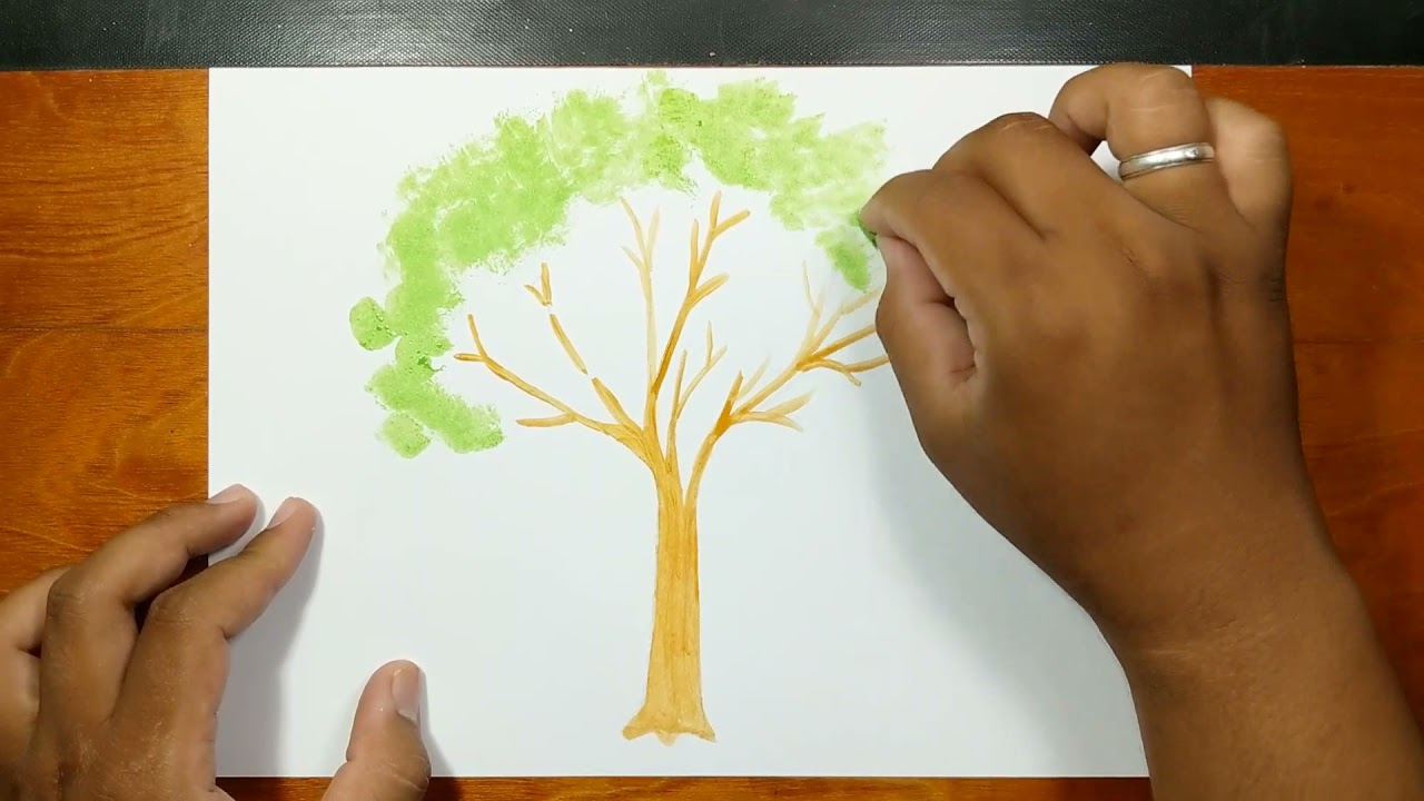 How to draw COCOA TREE with watercolor

