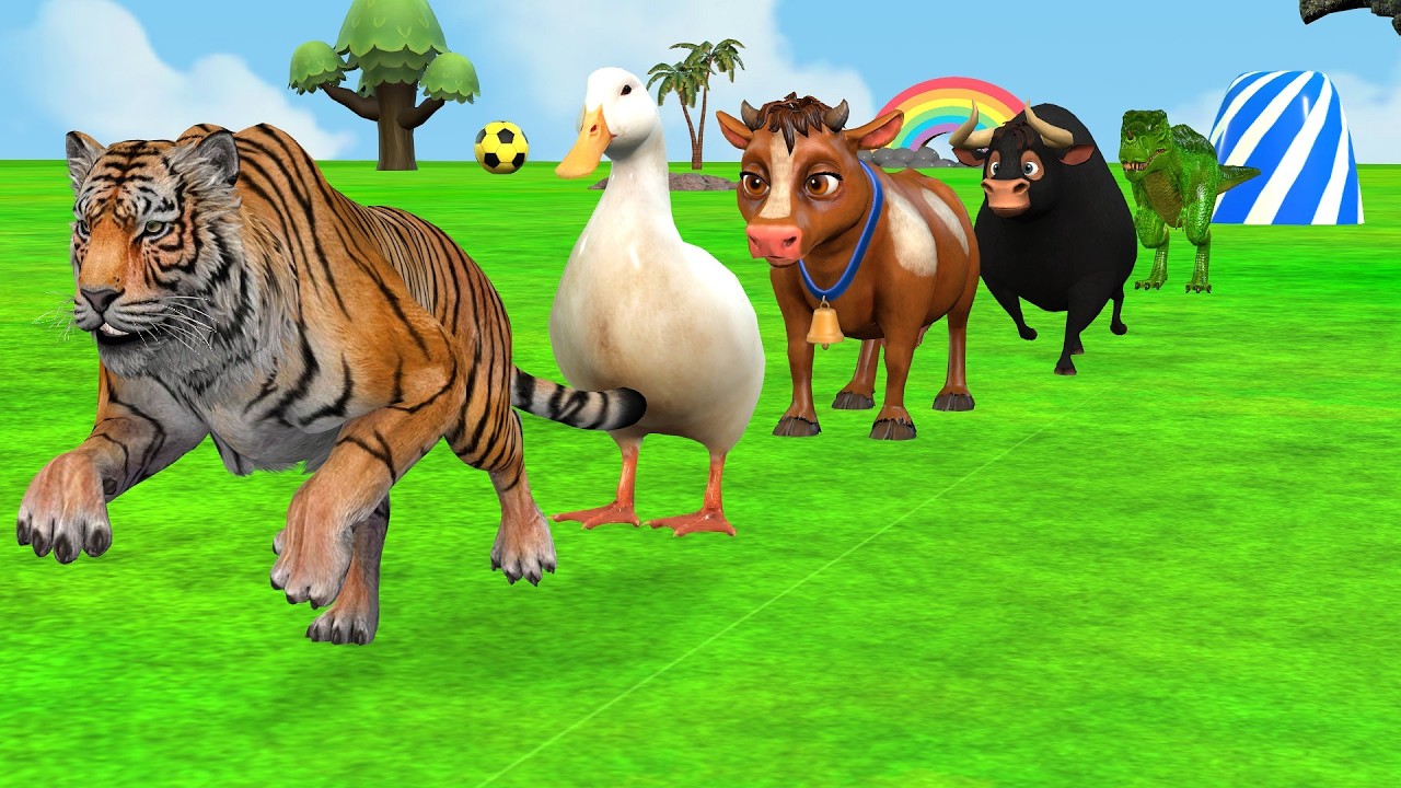 Long Slide Game With Duck Hippo Tiger Cow | Paint Animals Fountain Crossing ss | Funny 3d Animation