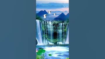 سورة(الإخلاص) و (الفلق) و (الناس) بصوت الشيخ : علاء عقل