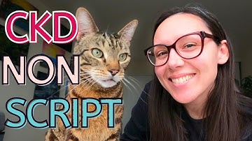 Low phos wet cat food (non prescription)