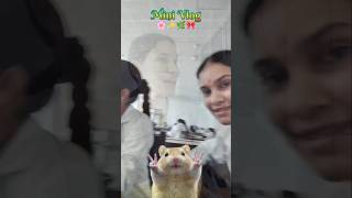 Day 5/60 l day in my life as college student🎓l#medicos#hospital#viral#viralshort#goviral#gmchaldwani