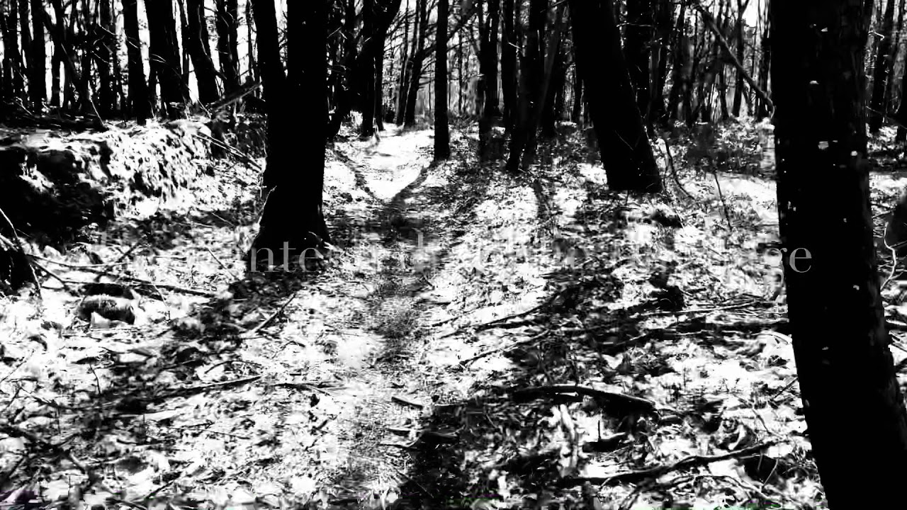 Le manteau de pluie du singe, Jean Louis Murat (cover), Fr.Gervaise YouTube