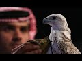 يلي سترك استر من الليل ودجاه يلي سترك استر من الليل ودجاه