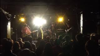 The Winking Owl【2017卒ライ Day3】