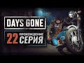 БЫВАЛИ У МЕНЯ ДНИ И ПОЛУЧШЕ — DAYS GONE | ПРОХОЖДЕНИЕ [#22]