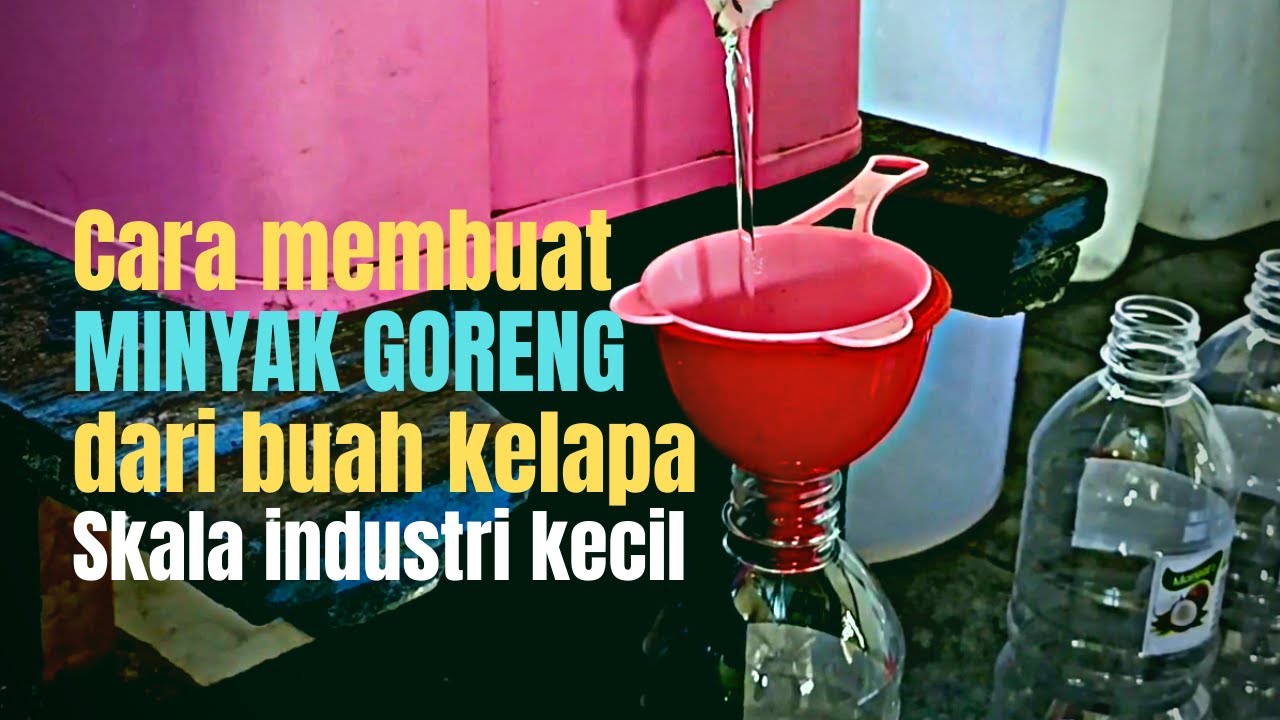Cara membuat minyak goreng dari buah kelapa | Bisa menambah penghasilan keluarga