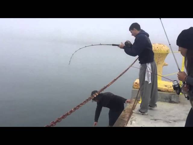 CA Bay Fishing: Ugly Stik Tiger Lite 