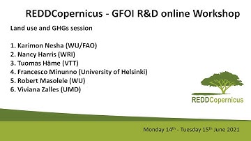 REDDCopernicus -  GFOI R&D Online Workshop - Land Use and GHGs session