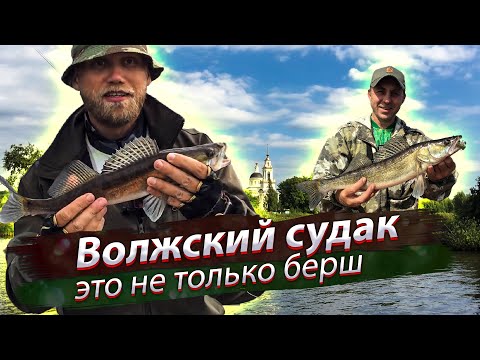 Video: Paano Mahuli Ang Pike Perch Sa Volga