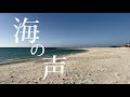 【49】バスガイドが歌ってみた　海の声／三線弾き語り