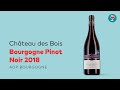 Bourgogne Pinot Noir 2018 | Fruité et charmeur | On boit quoi Jean-Michel ?