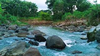 Sleep Naturally Tonight with Flowing River and Gentle Birdsong