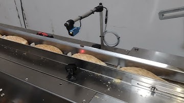 empacadora Delfín Flow pack