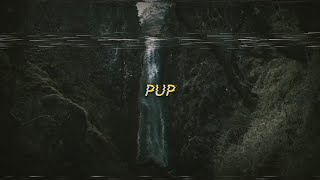 Jack Stauber - Pup (sub español/lyrics)