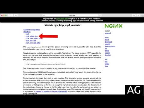 Video stream ngx_http_mp4_module | Nginx