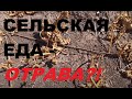 Деревенская еда опасна для здоровья?