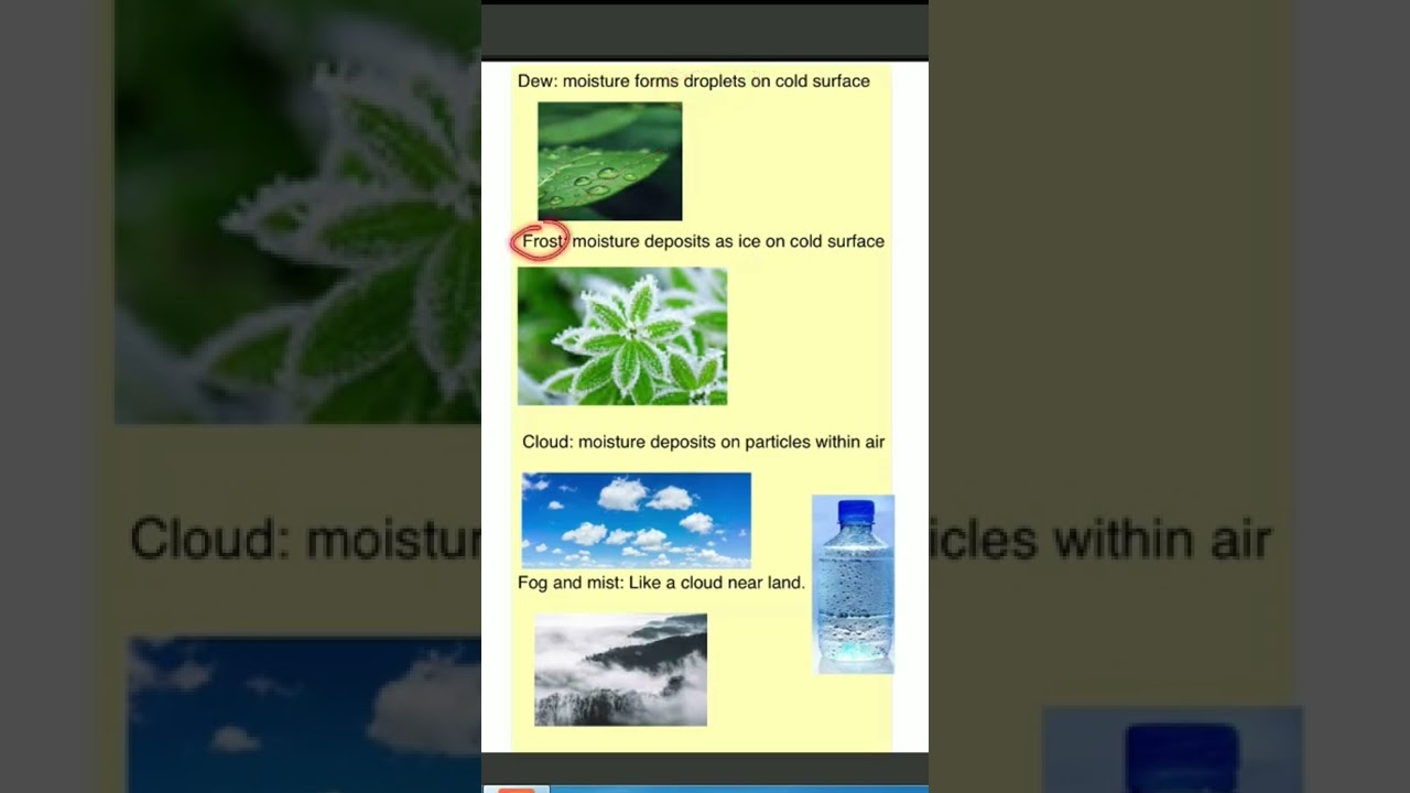 DEW + FOG + MIST + CLOUD + FROST - Condensation