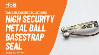 Heavy Duty Cargo Protection: Metal Ball Base Strap Seal| HSA Security Solutions