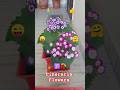 #Cineraria Flowers #winterFlower Plant #primerose