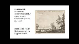 Чтения памяти Л. Л. Кутиной и Ю. С. Сорокина 25.03.2024 часть2