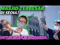 TUR SEOUL UNTUK MUSLIM INDONESIA [WITH TEMAN INDONESIA] [mesjid, HALAL MAKAN]