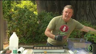 DIY: Creating Cannabis Clones / Kevin Jodrey / Ganjier