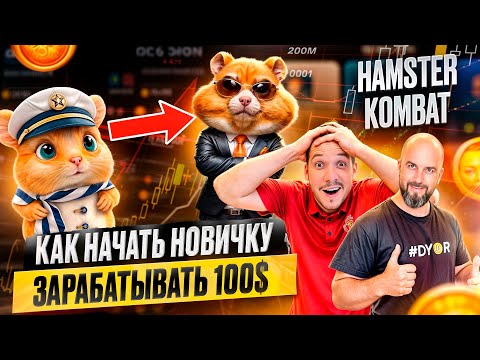 HAMSTER KOMBAT - КАК НАЧАТЬ НОВИЧКУ ЗАРАБАТЫВАТЬ 100$ В ДЕНЬ !
