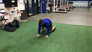 Slow-mo Bear Crawl (Forward and Back)