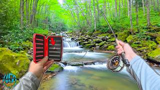 I Hiked Into the Appalachian Backcountry With Only ONE Fly! (Fishing For Brook Trout)