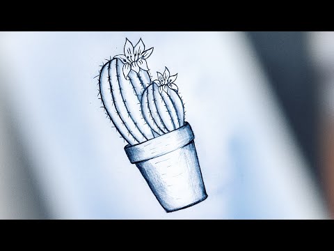 Video: Kalemle Kaktüs Nasıl çizilir