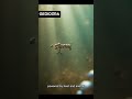 First Protocells || Geoid Era #7 || Archean Eon || PRECAMCRIUM TIME || #views #viral #facts #reels