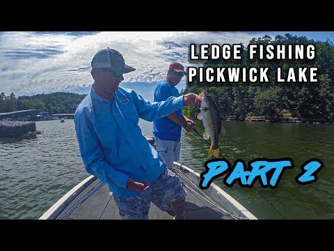Ledge Fishing On Pickwick Lake Part II (Tons of Bass!!)