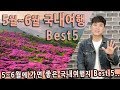 [Talk] 5월, 6월에 가면 좋은 국내여행지 베스트5 / 밀양 위양지, 합천 황매산 철쭉, 통영 소매물도, 부안 변산반도, 임실 옥정호, 5월여행지 추천, 6월여행지 추천