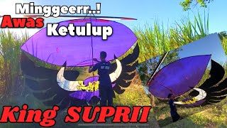 MOVE ASIDE!! King SUPRI is taking flight