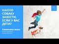 Выбор собаки для детей. Породы собак для детей.