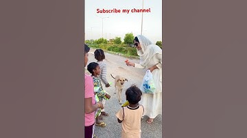 Subscribe my channel guys 🙏 | spread happiness everywhere 😻| #2023 #mychannel #minivlog #punjab